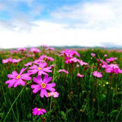 爱游戏手机客户端手机app下载