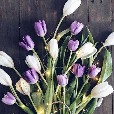 澳门天天免费资料大全下载app下载